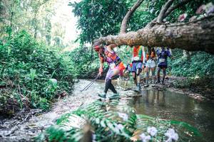 BIB: 
                            <button type="button" onclick="openModal(25446571)" class="btn btn-primary btn-sm float-right btn-popup" data-toggle="modal" data-target=".modal-high-quality">
                        <i class="fas fa-shopping-cart"></i> Add to Cart
                    </button>
                                            <button type="button" onclick="isThisMe(25446571, true)" class="btn btn-success btn-sm float-right btn-popup btn-isme hidden" data-toggle="tooltip" data-placement="bottom" title="นี่คือรูปของคุณใช่ไหม คลิกที่นี่เพื่อเอาเข้าอัลบั้ม">
                        <i class="fas fa-plus"></i> Add to album
                    </button>
                    <button type="button" onclick="isThisMe(25446571, false)" class="btn btn-warning btn-sm float-right btn-popup btn-isnotme hidden">
                        <i class="fas fa-ban"></i> Remove from album
                    </button>